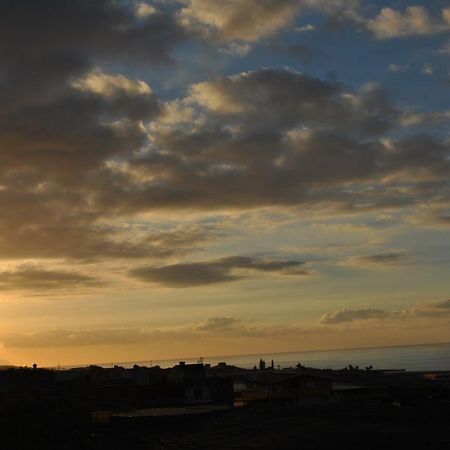 Discover The North Of The Island Of Tenerife La Laguna  Kültér fotó
